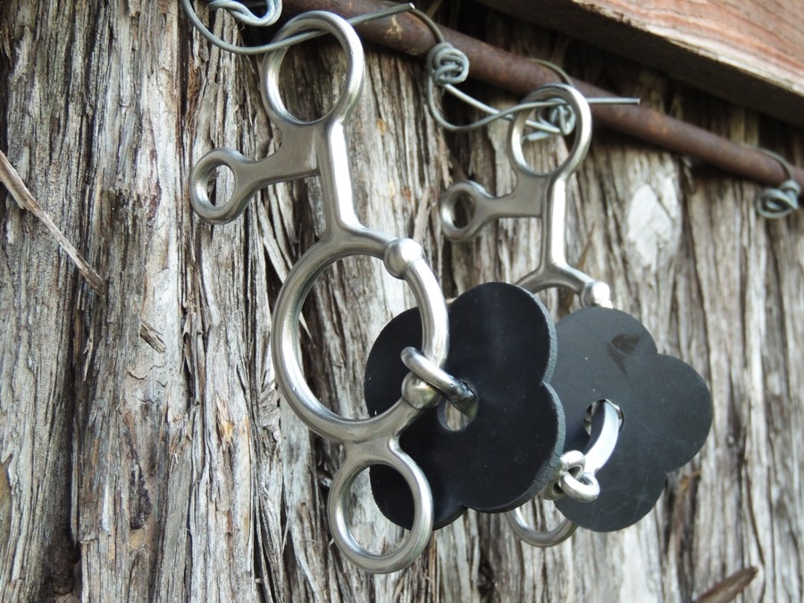 Solar Square Snaffle
